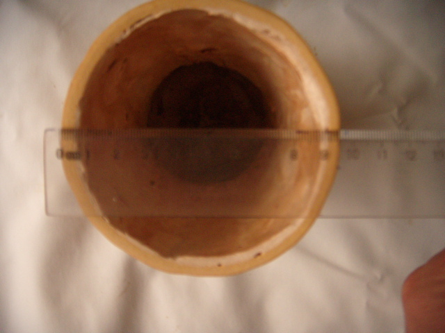 DSCN8435.JPG