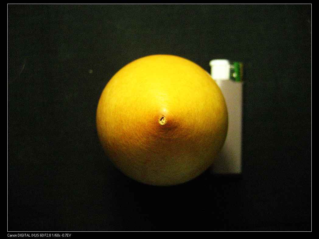 nEO_IMG_IMG_2786.jpg