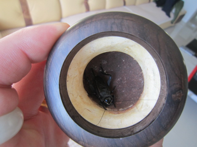 照片 5.jpg