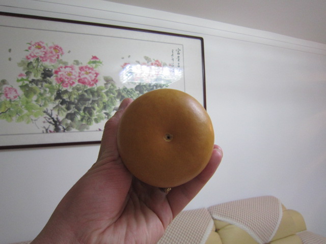照片 013.jpg