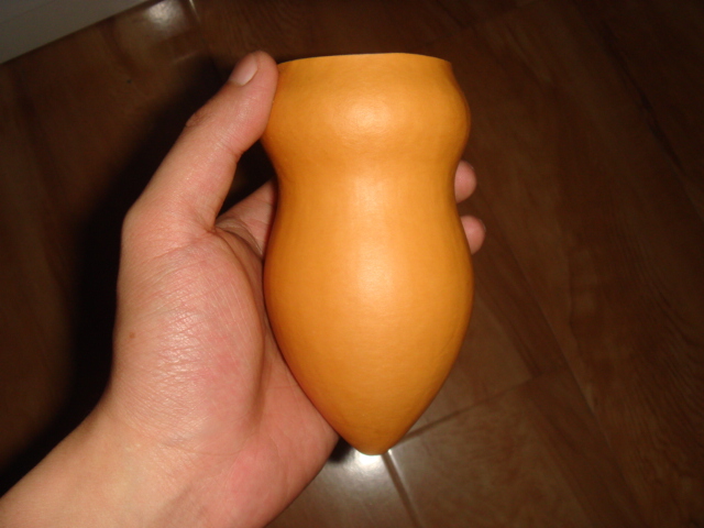 DSC08820.JPG