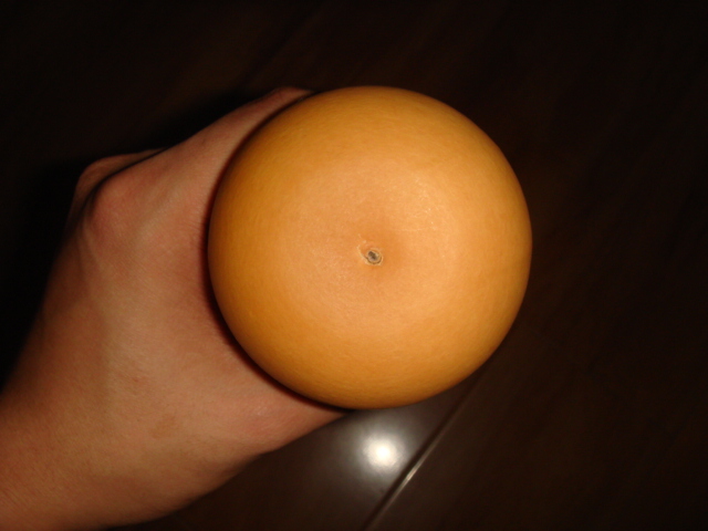 DSC08773.JPG