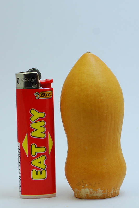 DSC_5371.JPG