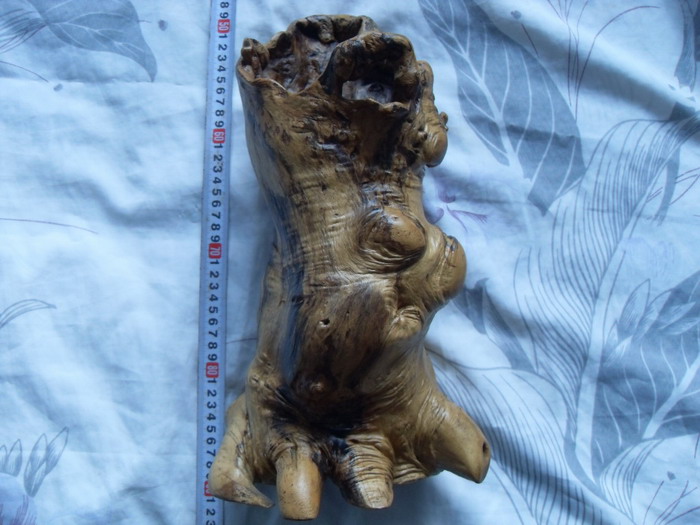 SDC12343.JPG