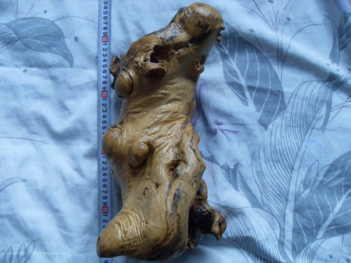 SDC12345.JPG
