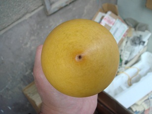 油瓶5.jpg