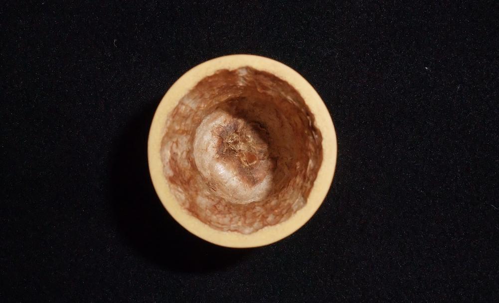 DSCF5872.jpg