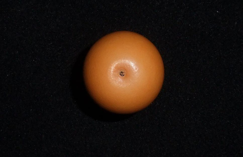DSCF5867.jpg