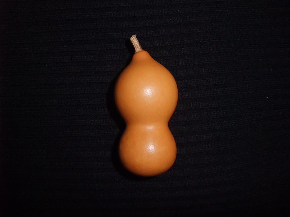DSCF5816.jpg