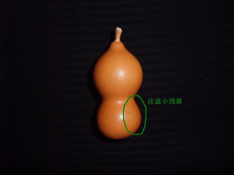 DSCF5815.jpg