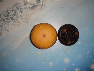 小墩4.jpg
