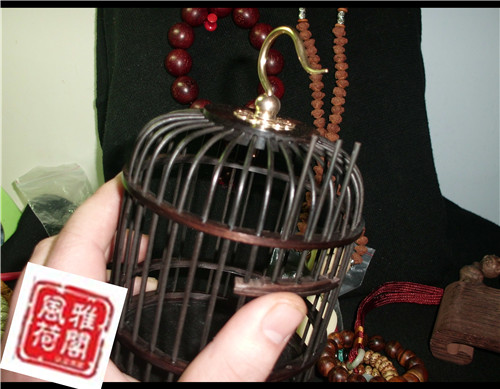 CIMG6029.JPG
