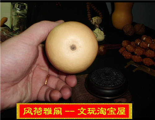CIMG6181.JPG