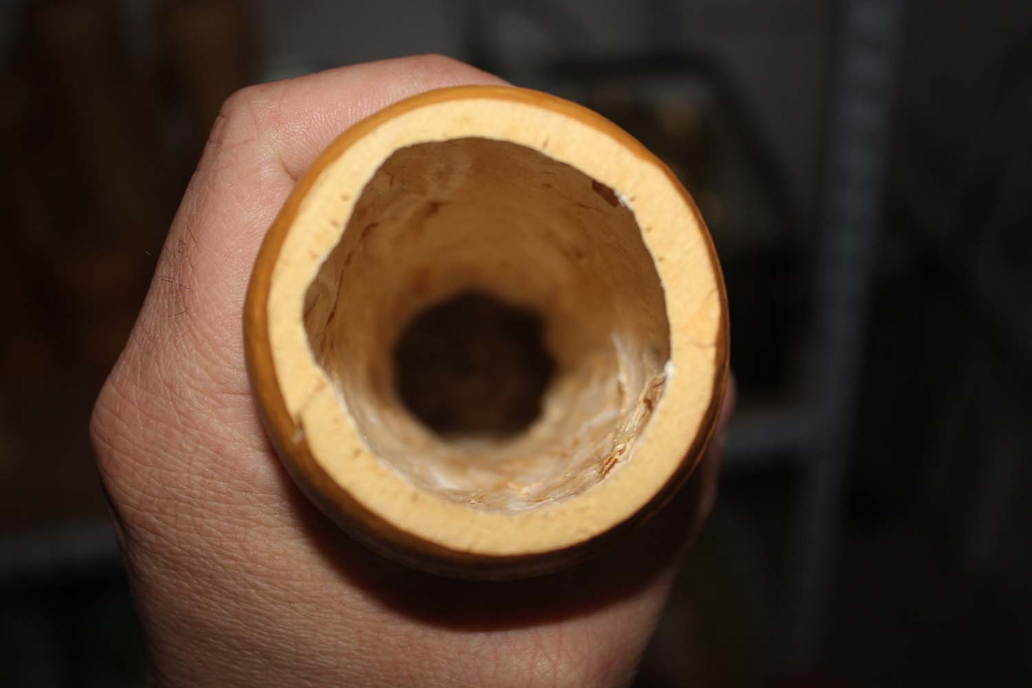 55.jpg