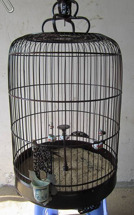 psb (2).jpg