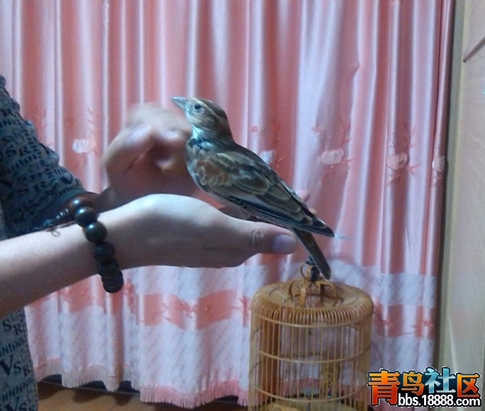 QQ图片20131204224141.jpg