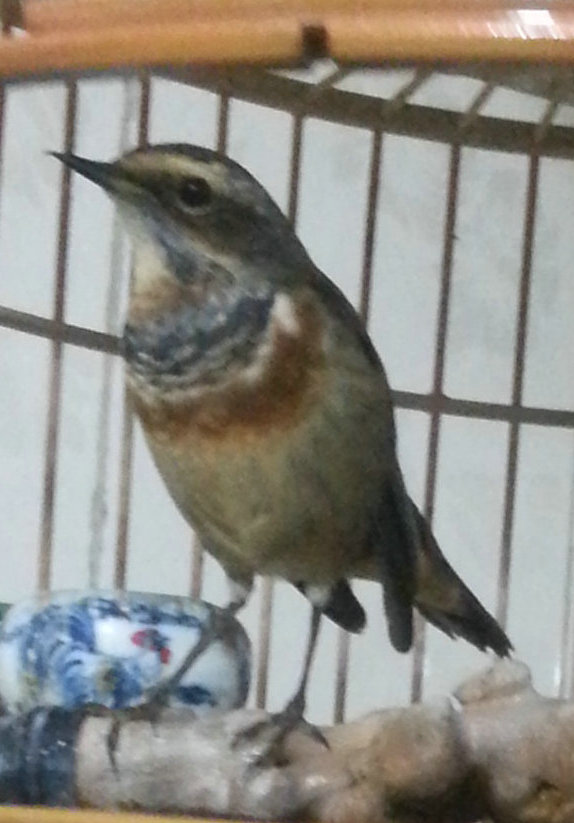 20130801_170230_1.jpg