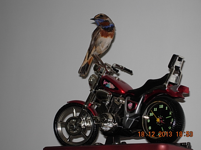 DSCN3161.JPG