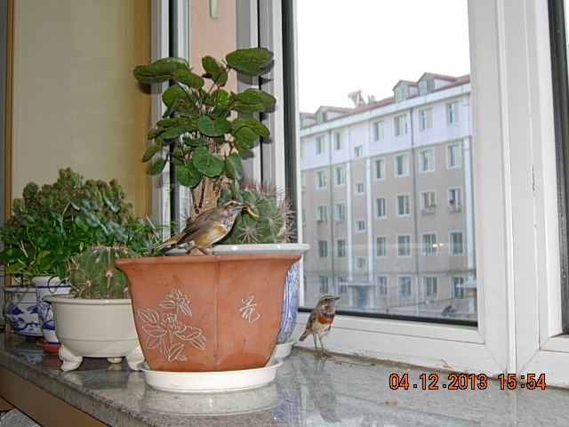 DSCN2949.JPG