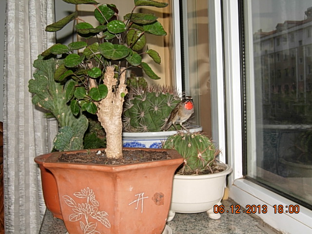 DSCN2970.JPG