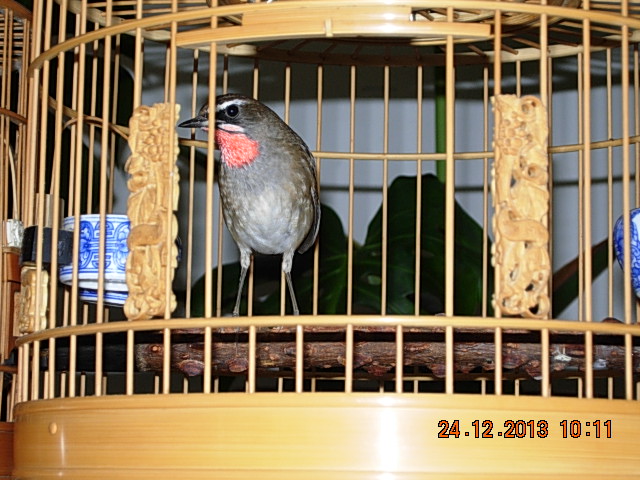 DSCN3286.JPG