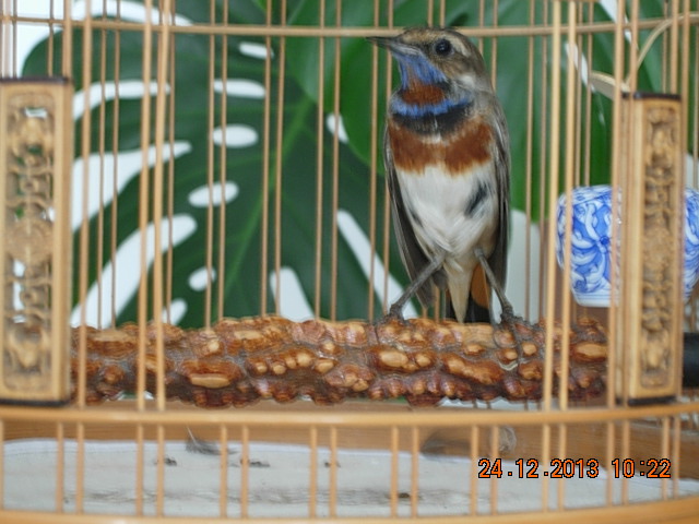 DSCN3318.JPG