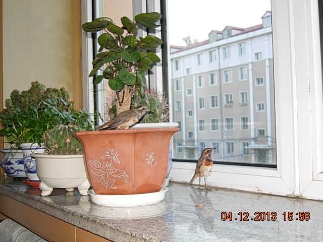 DSCN2952.JPG