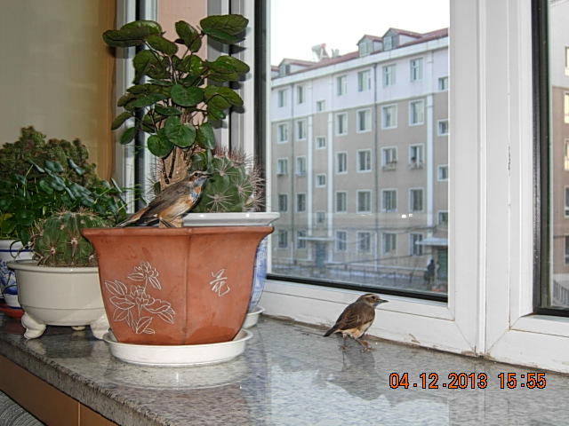DSCN2951.JPG