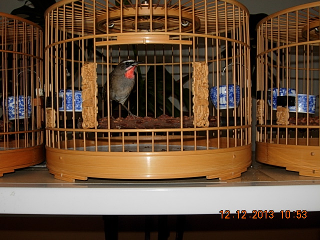 DSCN3049.JPG