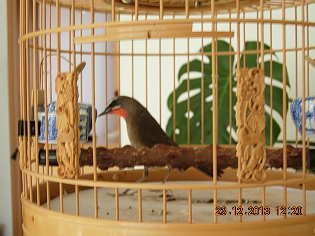 DSCN3216.JPG