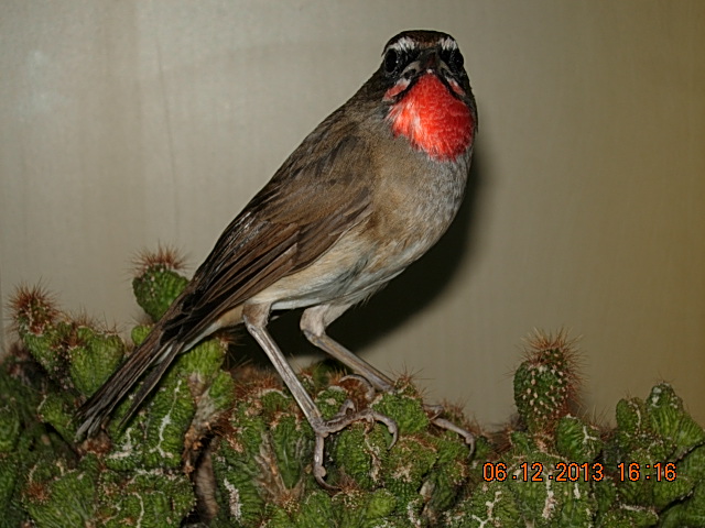 DSCN3015.JPG