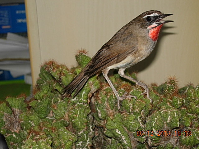 DSCN3005.JPG