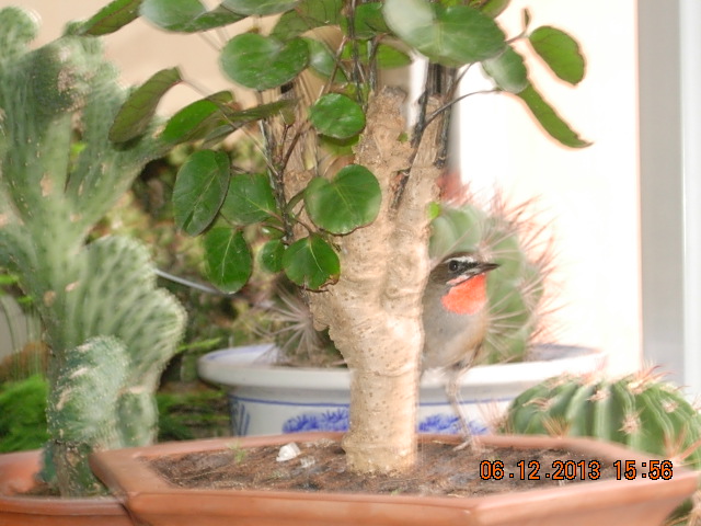 DSCN2960.JPG