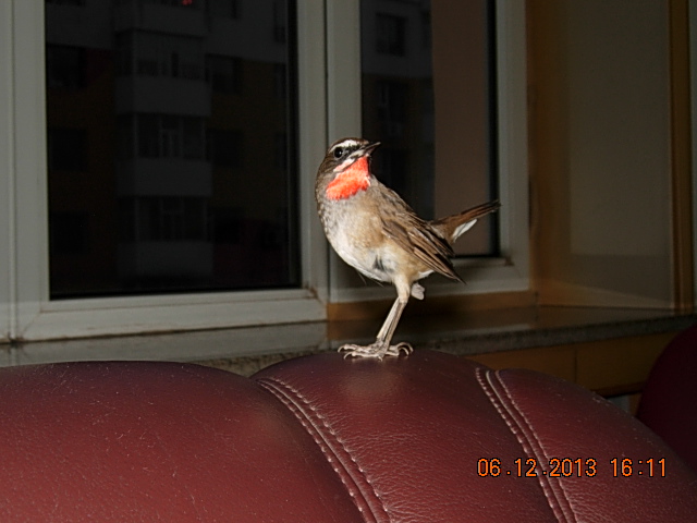 DSCN3002.JPG