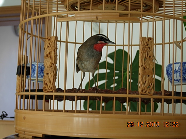 DSCN3232.JPG