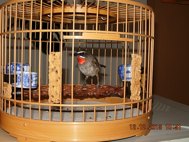 DSCN3042.JPG
