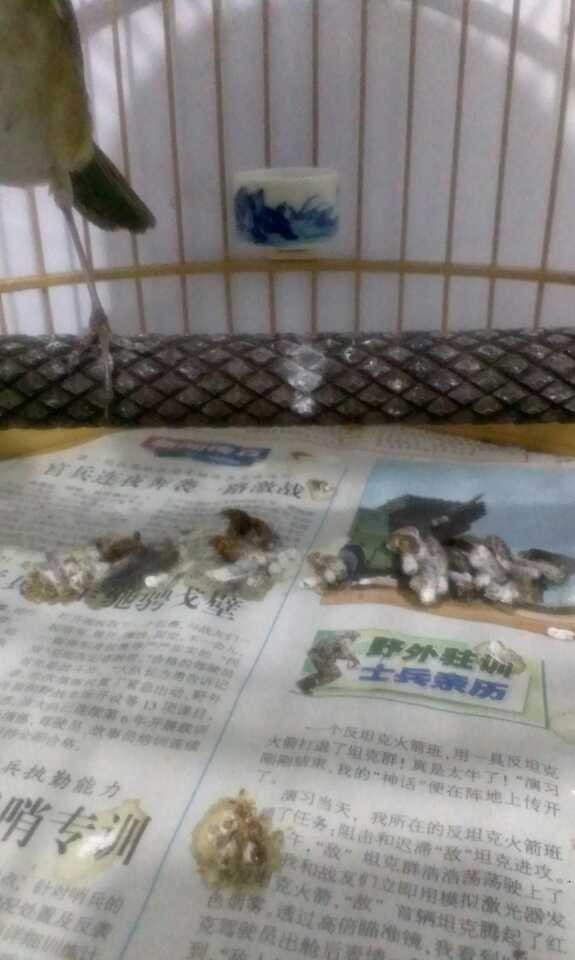 QQ图片20131214215803.jpg