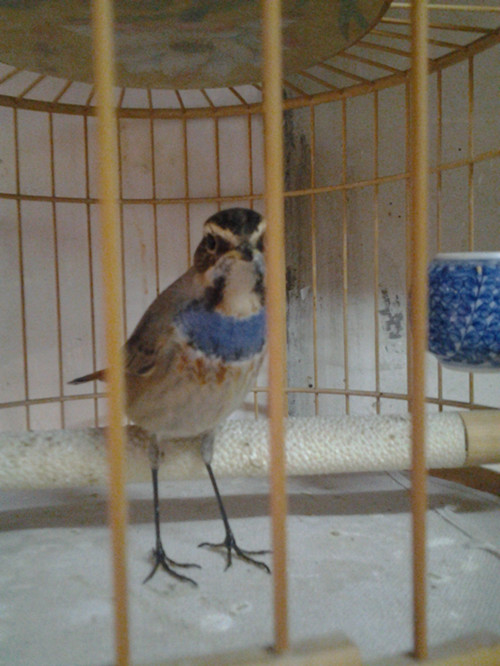 20131203_113930_副本.jpg