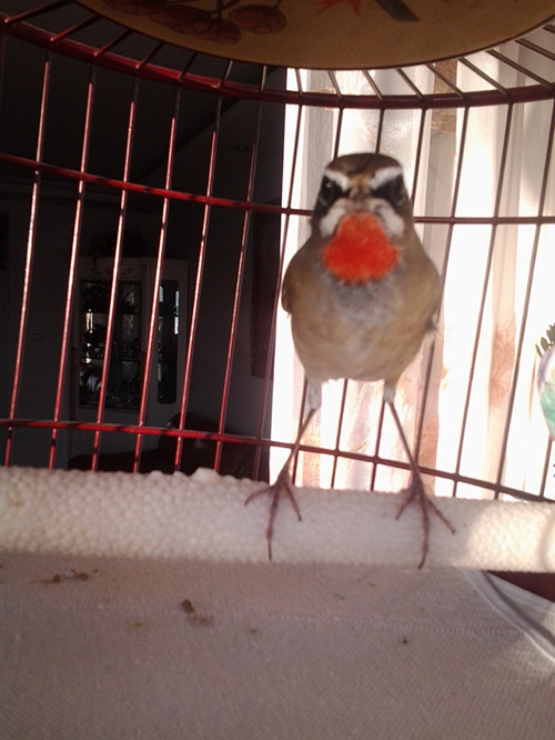 20131209_160357_副本.jpg
