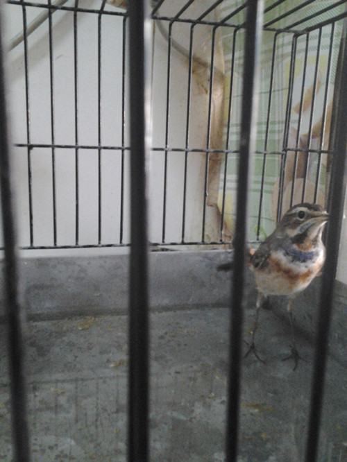 20131209_132617_副本.jpg