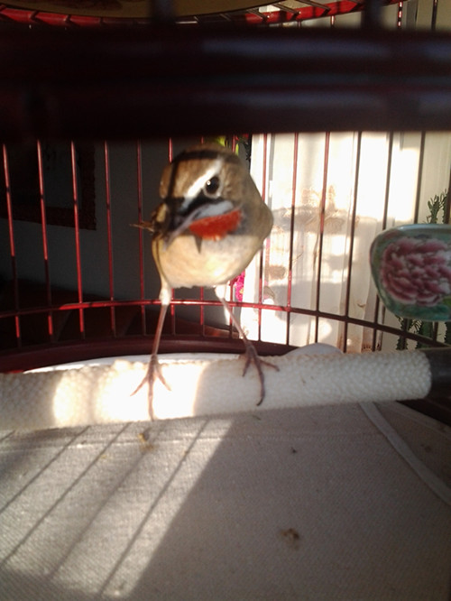 20131209_160446_副本.jpg