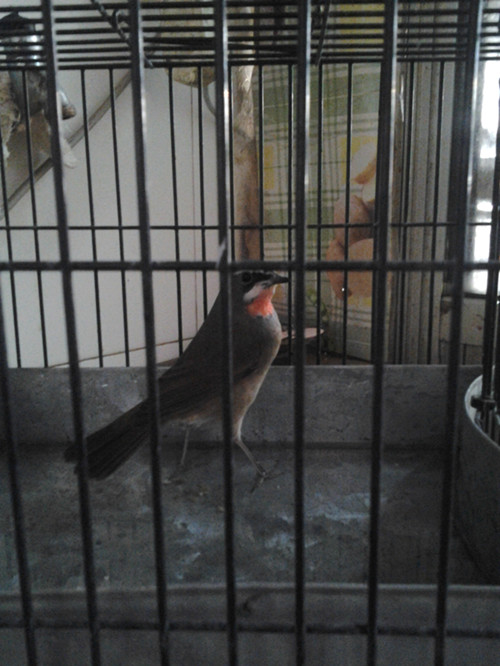20131106_124719_副本.jpg