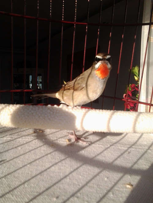 20131209_160333_副本.jpg