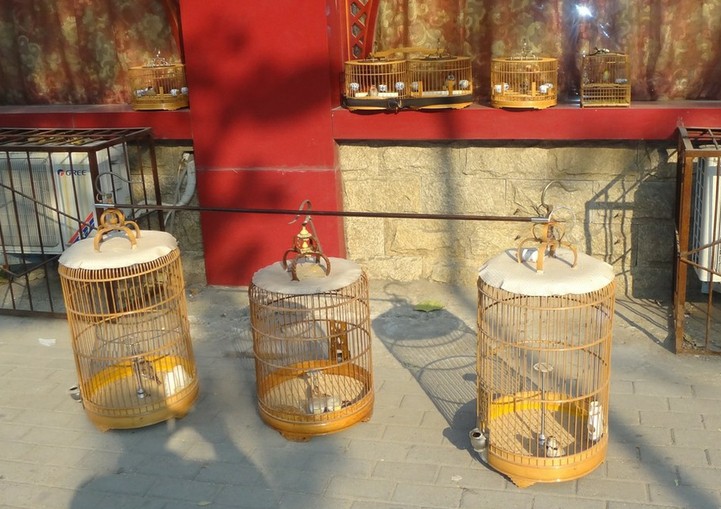 QQ图片20131203232457.jpg