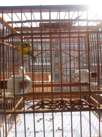 20131222_102531.jpg