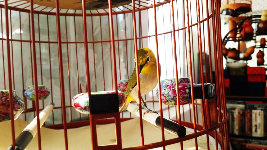 20131209_105123.jpg