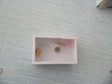 SAM_1150_副本.jpg