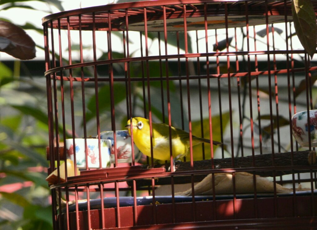 DSC_1074-1-1.jpg