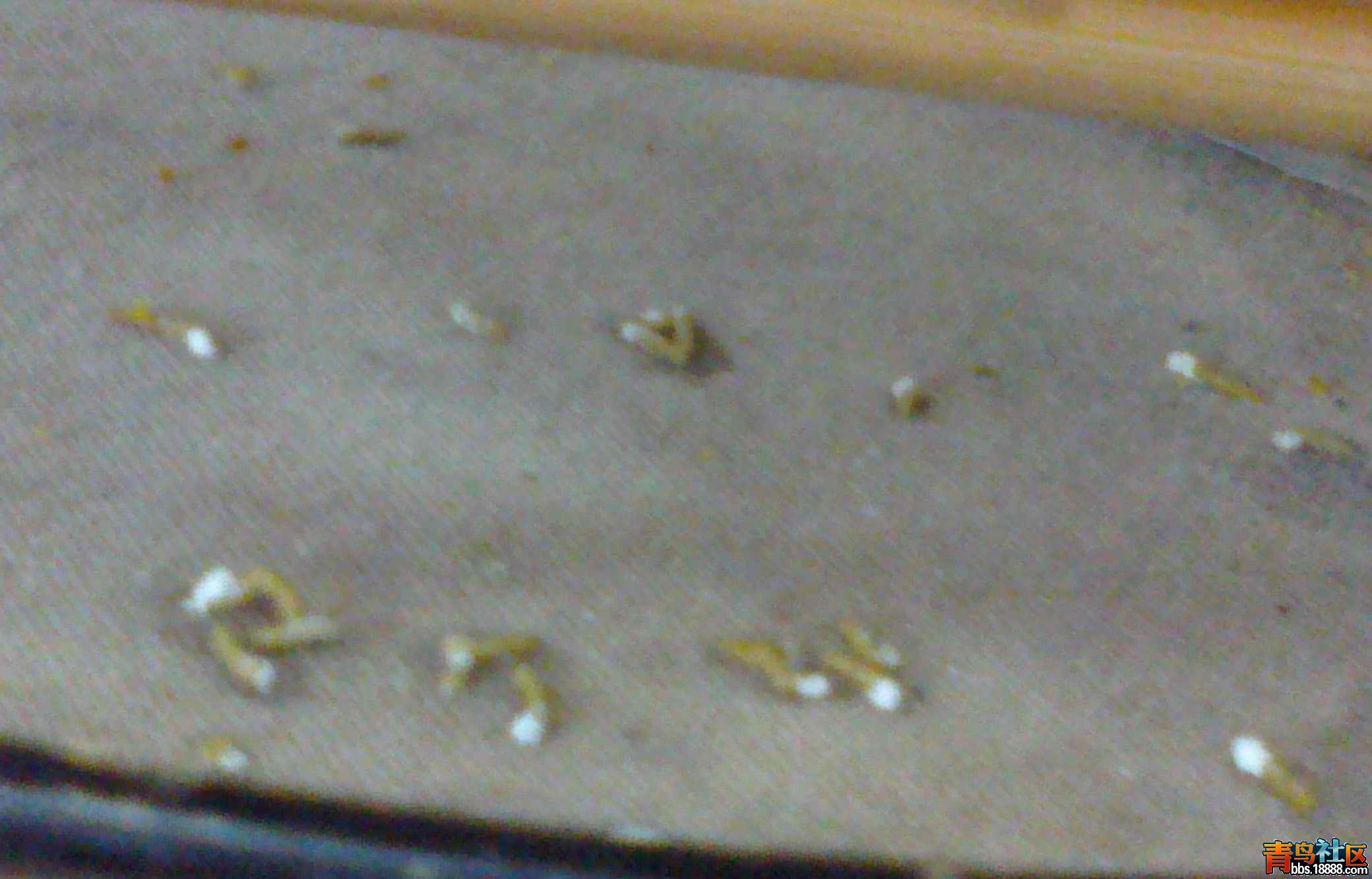 20131217667.jpg