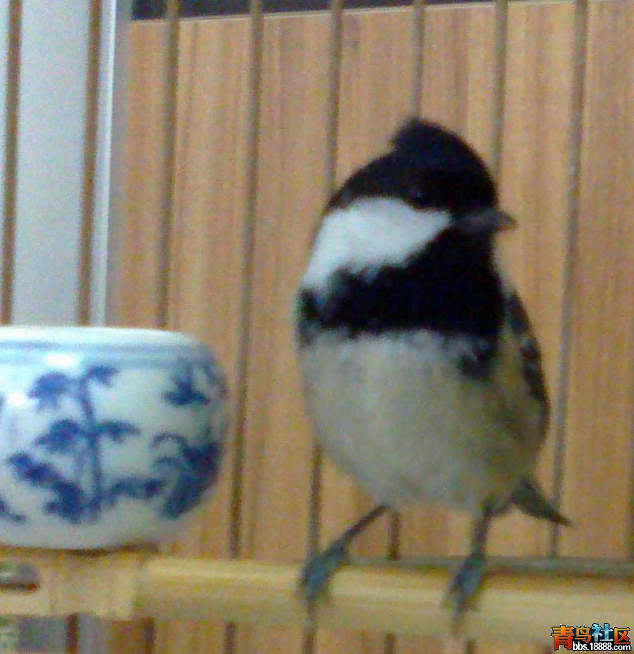 20131217677.jpg